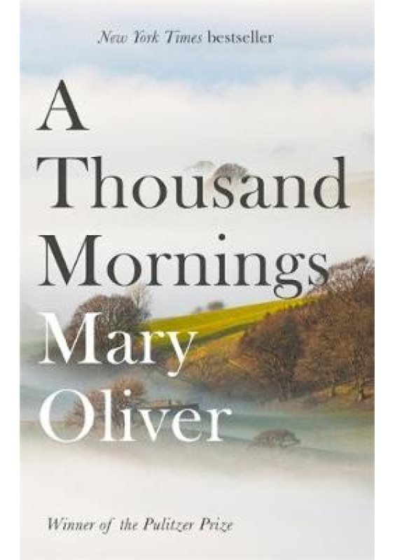 Thousand Mornings Little, Brown Book Group