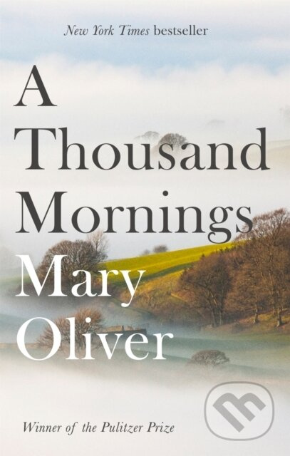 Thousand Mornings Little, Brown Book Group