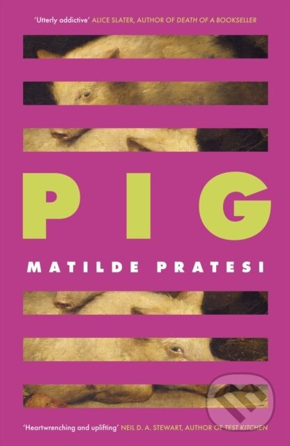 Pig ('Fresh, full of character and utterly addictive' Alice Slater) - kniha z kategorie Spoločenská beletria