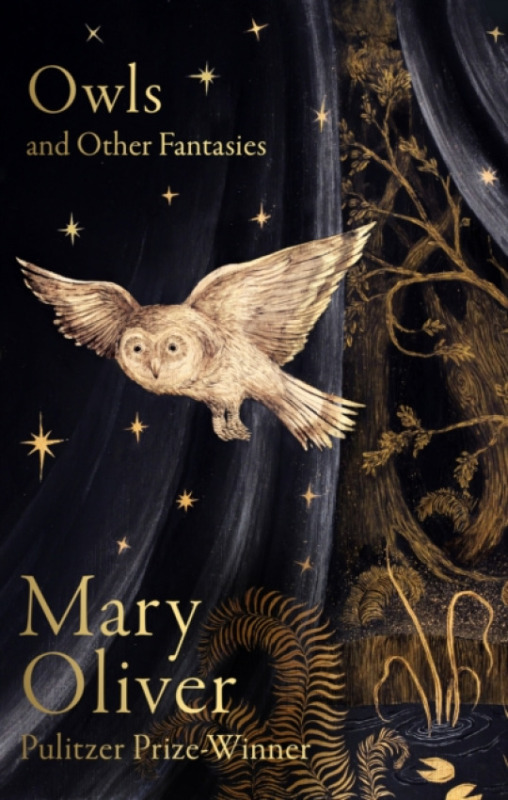 Little, Brown Book Group Owls and Other Fantasies - Oliver, Mary