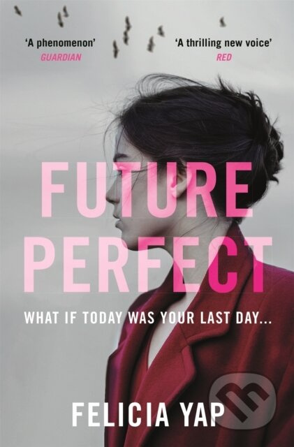 Future Perfect (The Most Exciting High-Concept Novel of the Year) - kniha z kategorie Thrillery