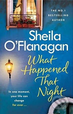 What Happened That Night - Sheila O'Flanagan - kniha z kategorie Beletrie