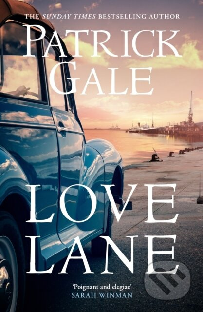 Love Lane (A searing portrayal of escape and the power of love, home and a family) - kniha z kategorie Společenská beletrie
