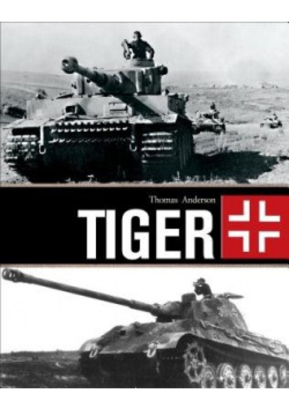 Tiger Bloomsbury Publishing PLC