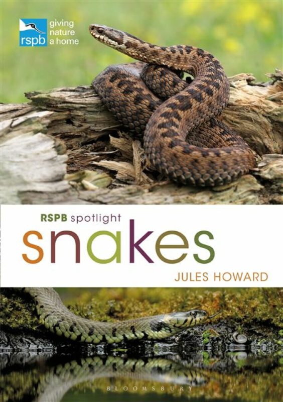 RSPB Spotlight Snakes Bloomsbury Publishing PLC