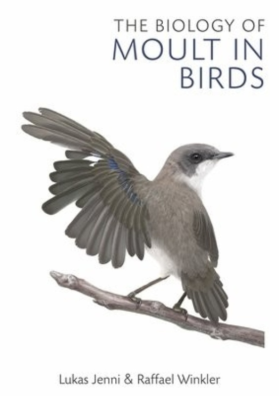 Biology of Moult in Birds Bloomsbury Publishing PLC