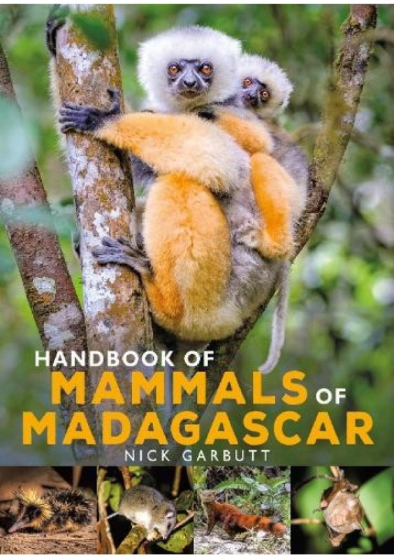 Handbook of Mammals of Madagascar Bloomsbury Publishing PLC