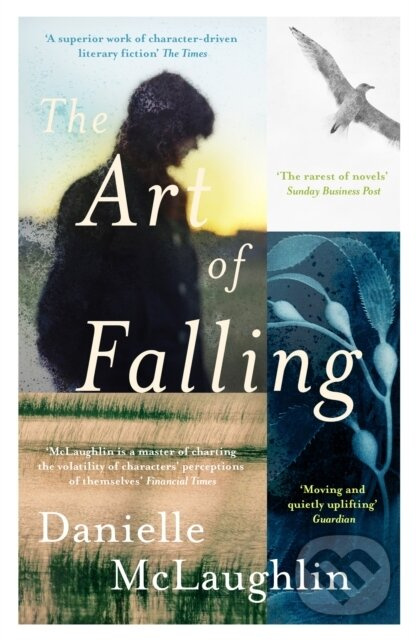 The Art of Falling - Danielle Mclaughlin - kniha z kategorie Společenská beletrie