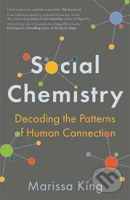 Social Chemistry (Decoding the Patterns of Human Connection) - kniha z kategorie Psychologie