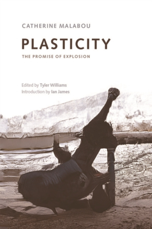 Plasticity - Catherine Malabou