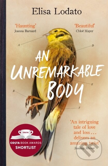 An Unremarkable Body (Shortlisted for the Costa First Novel Award 2018) - kniha z kategorie Společenská beletrie