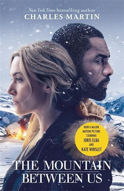The Mountain Between Us - Charles Martin