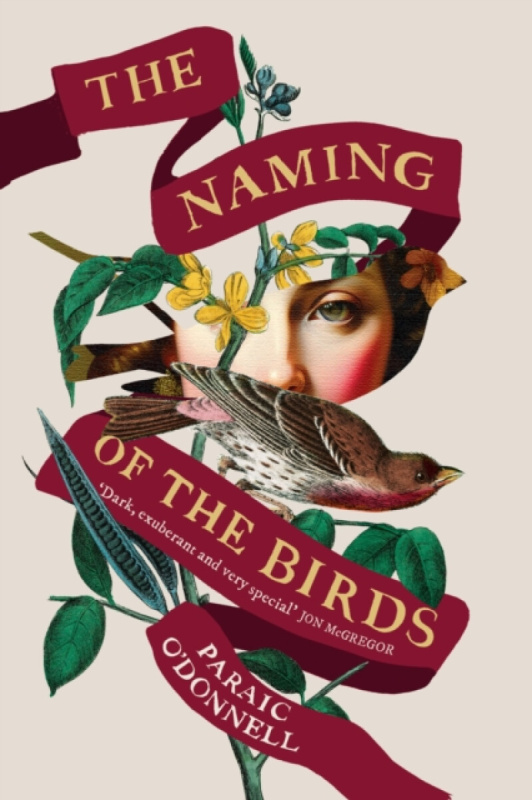 Orion Publishing Co Naming of the Birds - O'Donnell, Paraic