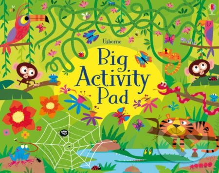 Big Activity Pad - Kirsteen Robson - kniha z kategorie Omalovánky, vystřihovánky, papír