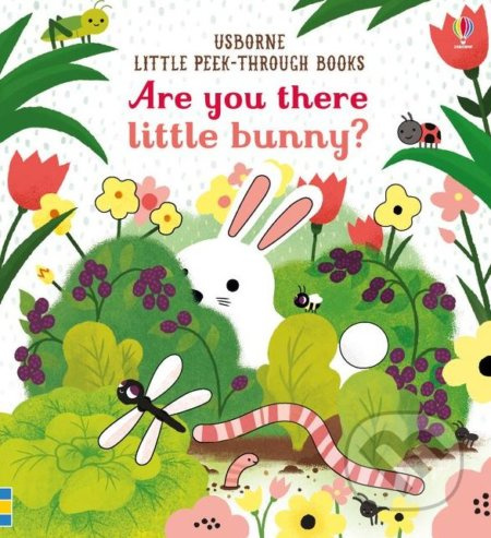 Are you there Little Bunny? - Sam Taplin - kniha z kategorie Pohádky