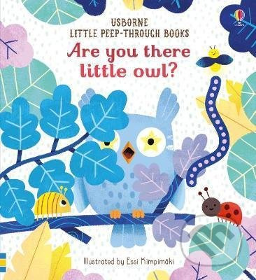 Are you there little owl? - Sam Taplin, Essi Kimpimaki (ilustrácie) - kniha z kategorie Pro děti