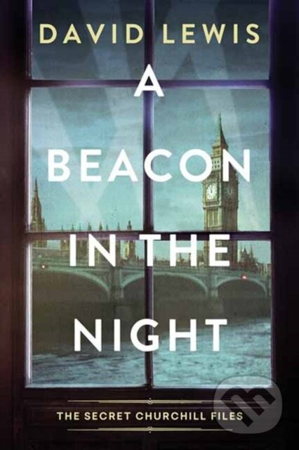 A Beacon in the Night - David Lewis - kniha z kategorie Beletria