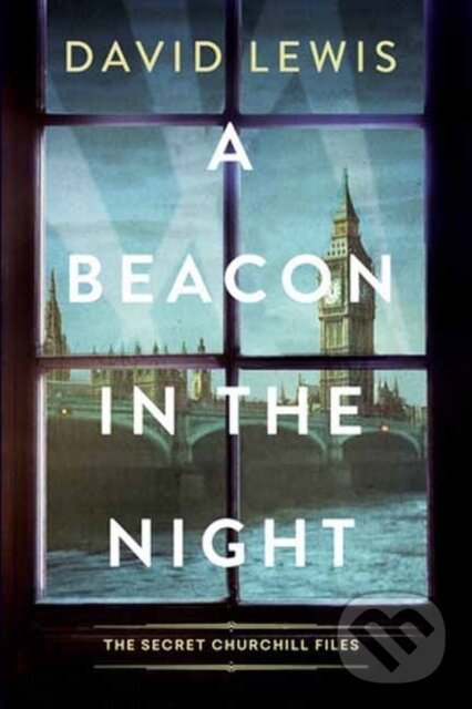 A Beacon in the Night - David Lewis - kniha z kategorie Spoločenská beletria