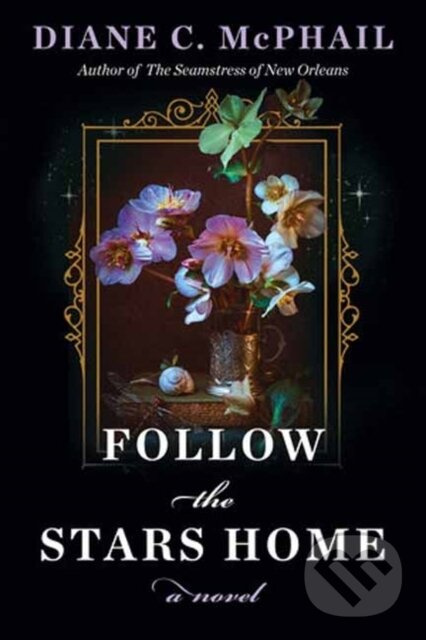 Follow the Stars Home - Diane C. McPhail - kniha z kategorie Spoločenská beletria