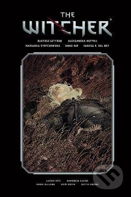 The Witcher 2 - Bartosz Sztybor, Aleksandra Motyka, Marianna Strychowska - kniha z kategorie Komiksy