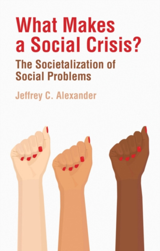 What Makes a Social Crisis? â€“ The Societalization Of Social Problems - Jeffrey C.  Alexander