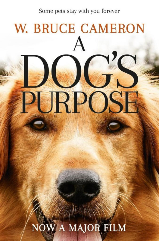 A Dog's Purpose - W. Bruce Cameron - kniha z kategorie Beletrie pro děti