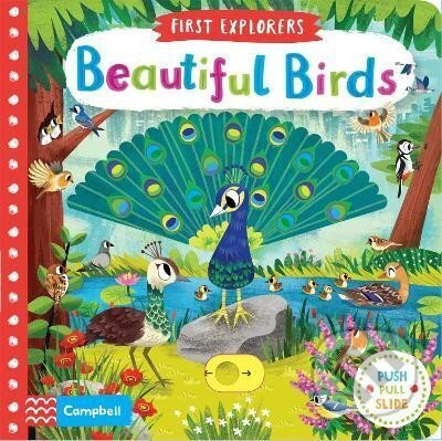 Beautiful Birds - Chorkung