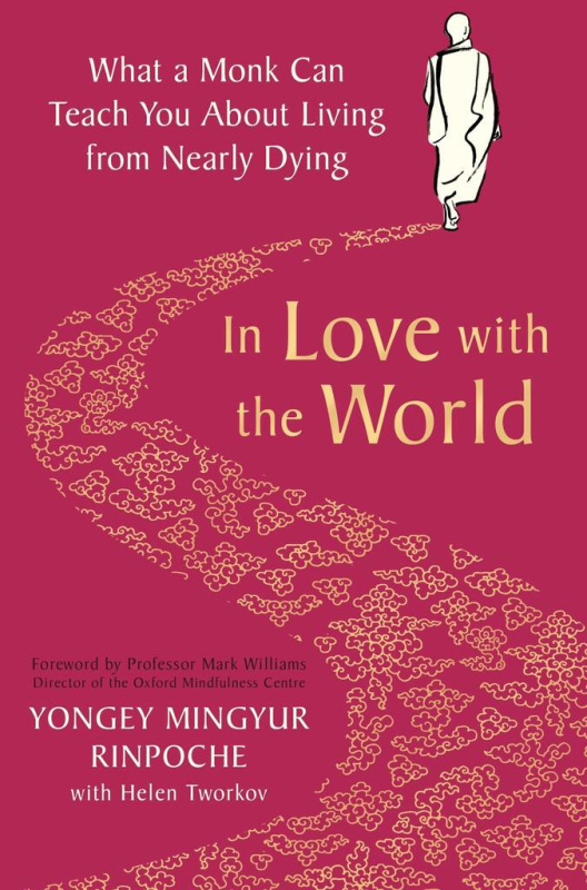 In Love with the World (What a Monk Can Teach You About Living from Nearly Dying) - kniha z kategorie Filozofie