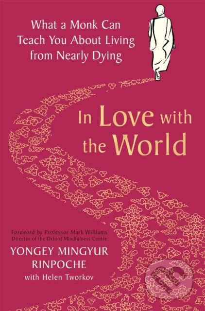 In Love with the World (What a Monk Can Teach You About Living from Nearly Dying) - kniha z kategorie Filozofie