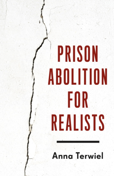 Prison Abolition for Realists University of Minnesota Press