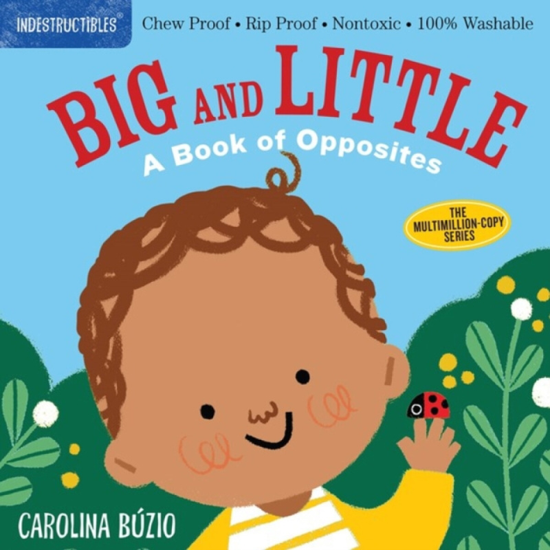 Big and Little (A Book of Opposites) - Carolina Búzio (Ilustrátor), Amy Pixton - kniha z kategorie Pro děti