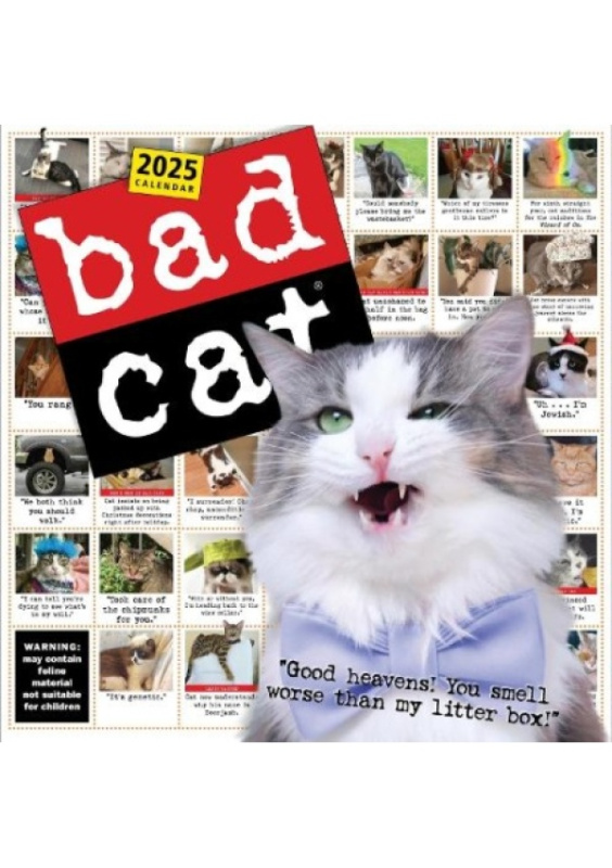 Bad Cat Wall Calendar 2025, Celebrating the Misfits of the Feline World Workman Publishing