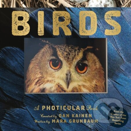 Birds (A Photicular Book) - Dan Kainen