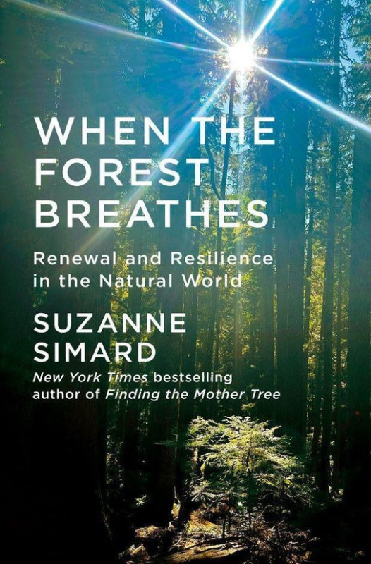 When the Forest Breathes -  Suzanne Simard
