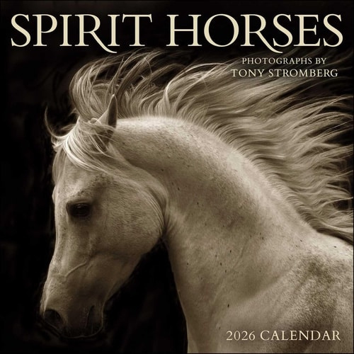Spirit Horses 2026 Wall Calendar by Tony Stromberg Andrews McMeel Publishing
