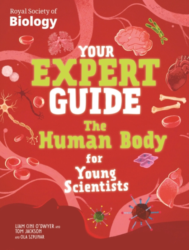 Hachette Children's Group Your Expert Guide: The Human Body for Young Scientists - Jackson, Tom a Cini-O'Dwyer, Liam