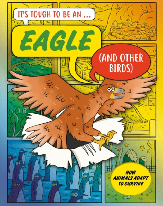 Hachette Children's Group It's Tough to Be: An Eagle (and Other Birds) - Townsend, John