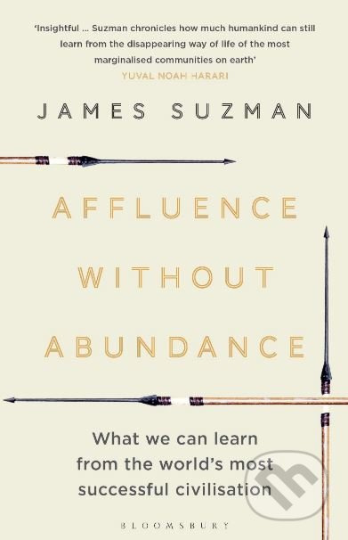 Affluence Without Abundance (What We Can Learn from the World's Most Successful Civilisation) - kniha z kategorie Historie