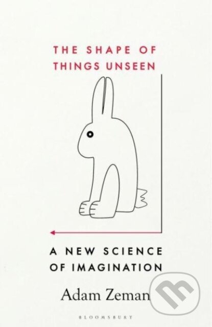 The Shape of Things Unseen (A New Science of Imagination) - kniha z kategorie Psychologie