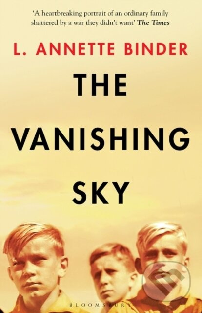 The Vanishing Sky - L. Annette Binder - kniha z kategorie Společenská beletrie