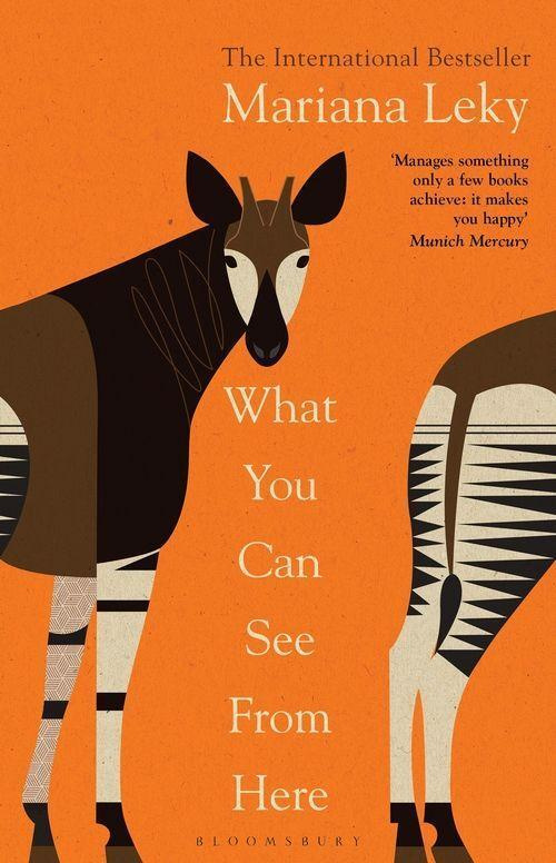 What You Can See From Here - Mariana Leky - kniha z kategorie Společenská beletrie