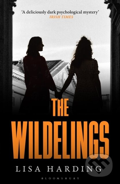 The Wildelings (‘A deliciously dark psychological mystery’ IRISH TIMES) - kniha z kategorie Společenská beletrie