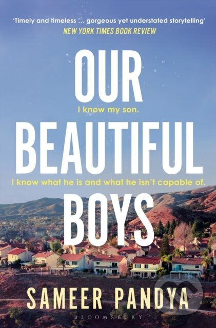 Our Beautiful Boys - Sameer Pandya - kniha z kategorie Společenská beletrie