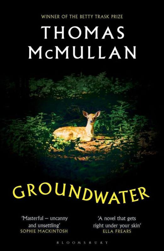 Groundwater -  Ali Heath