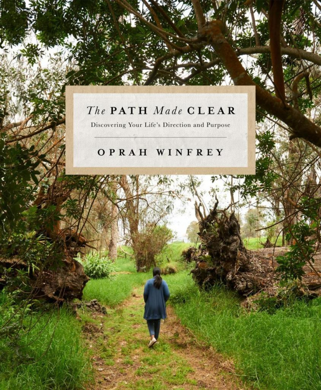 The Path Made Clear (Discovering Your Life's Direction and Purpose) - kniha z kategorie Psychologie