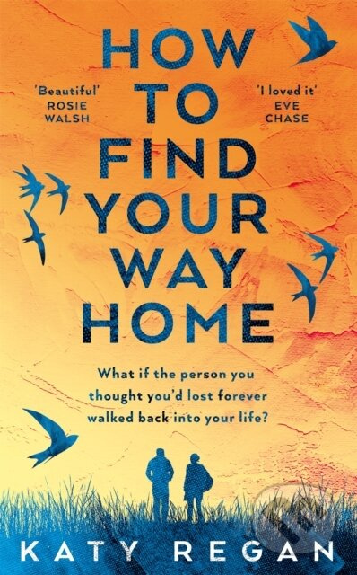 How To Find Your Way Home - Katy Regan - kniha z kategorie Společenská beletrie