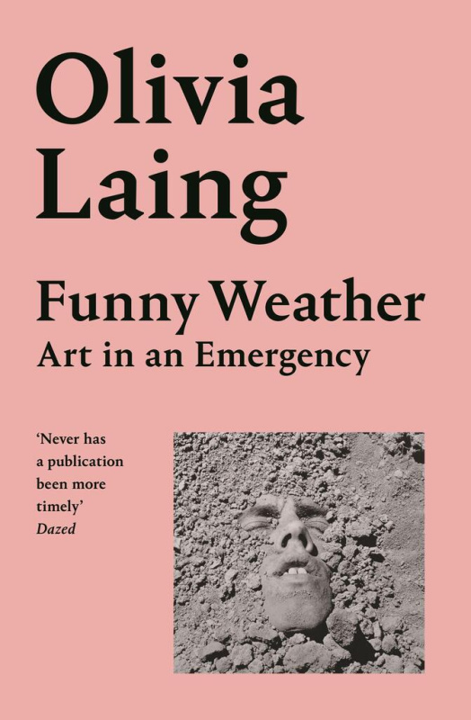 Funny Weather, Art in an Emergency Pan Macmillan