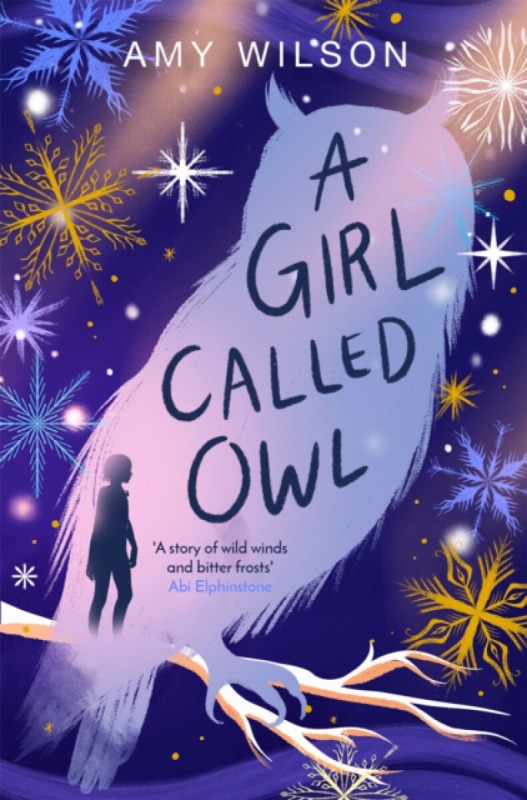 A Girl Called Owl - Amy Wilson - kniha z kategorie Sci-fi, fantasy a komiksy