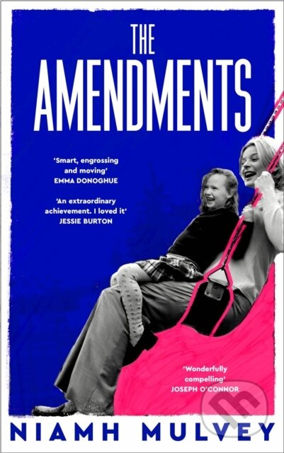 The Amendments (the instant Irish bestseller about one family through the generations) - kniha z kategorie Společenská beletrie
