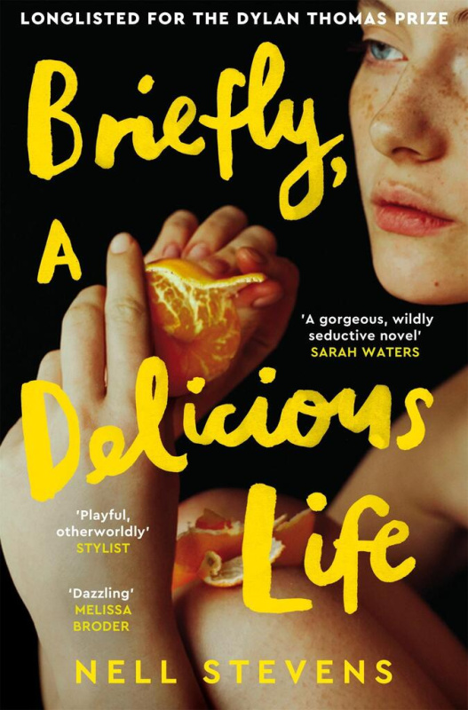 Briefly, A Delicious Life - Nell Stevens - kniha z kategorie Společenská beletrie